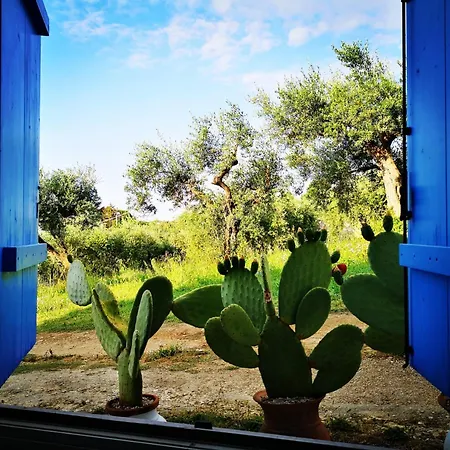 La Collina Sui Trabocchi Летний дом Ортона