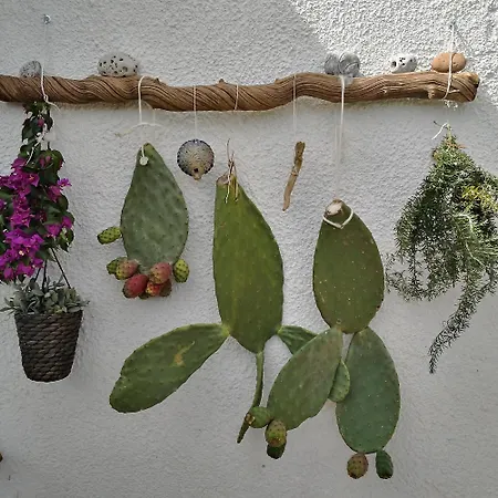 La Collina Sui Trabocchi Летний дом