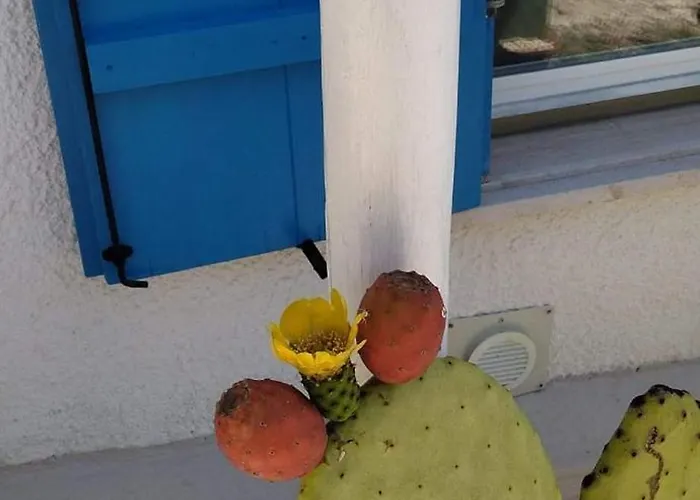 Kır Evi La Collina Sui Trabocchi