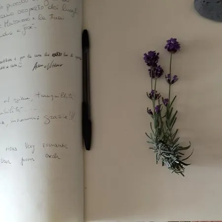 La Collina Sui Trabocchi 乡村民宿 奥托纳