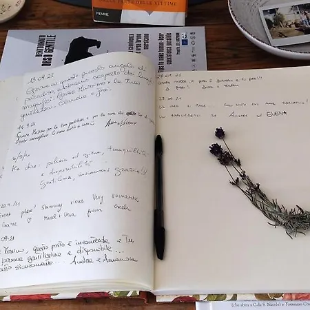 La Collina Sui Trabocchi 乡村民宿 *